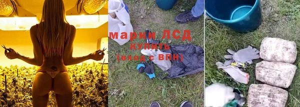 сатива Няндома
