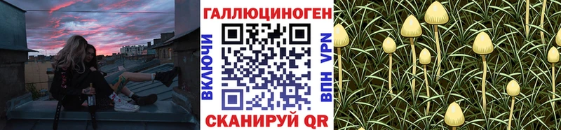 сколько стоит  Шатура  Галлюциногенные грибы Cubensis 